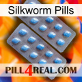 Silkworm Pills viagra4